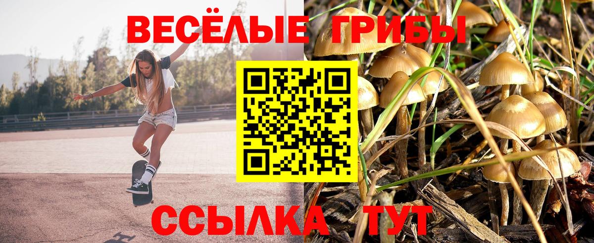 Галлюциногенные грибы Cubensis Краснознаменск
