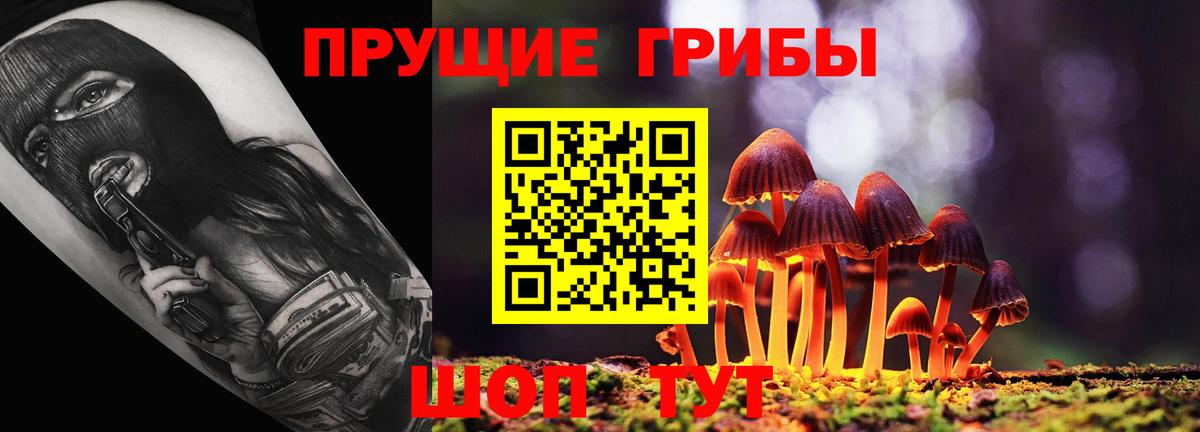 Краснознаменск  Галлюциногенные грибы MAGIC MUSHROOMS  Вход с VPN 